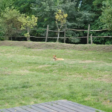 La Sforzata * Collegno