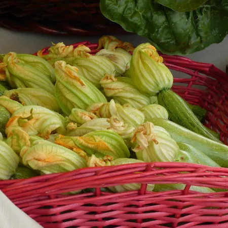 La Sforzata Feriegård *