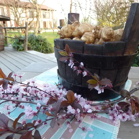 Bauernhof La Sforzata *