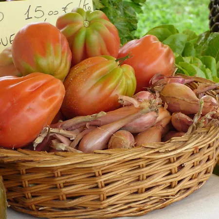 בית חווה La Sforzata *