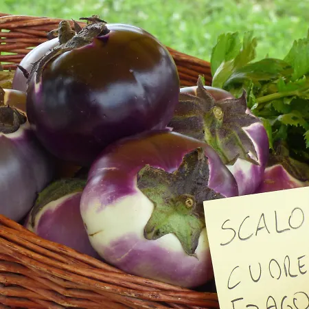 La Sforzata Bauernhof *